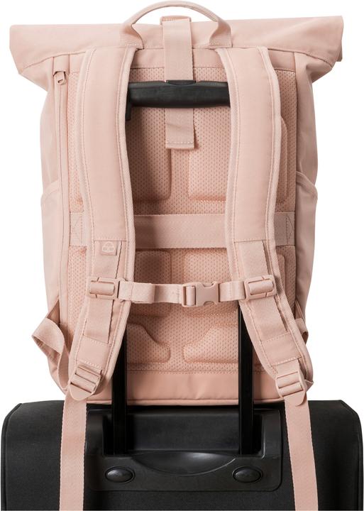 Produktbild Johnny Urban Allen (18.50 l)