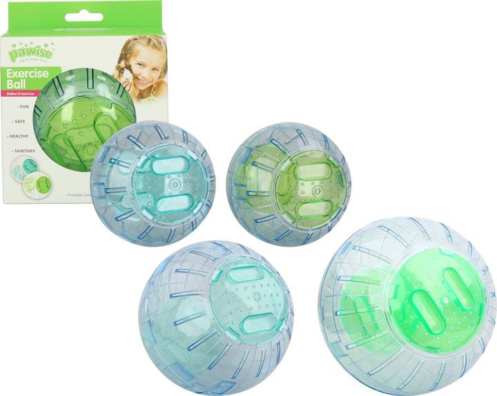 All for Paws Exercise Ball 13 cm