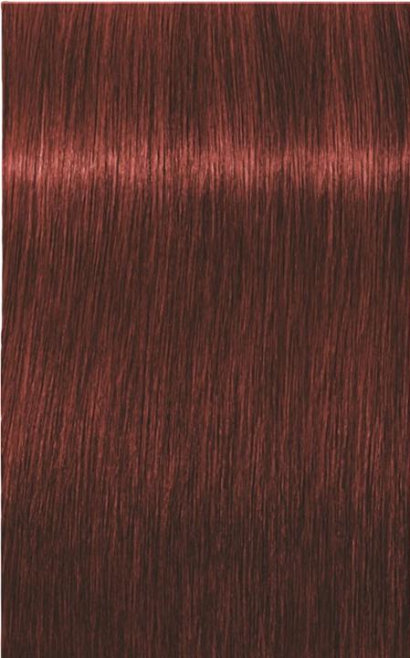 Image du produit Schwarzkopf Professional Igora Royal - 6-80 blond foncé roux naturel (Blond, Rouge)