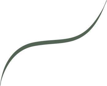 Immagine prodotto L'Oréal Paris Eye Liner con pennello microfine Infaillible Grip 36H (05 Verde salvia)