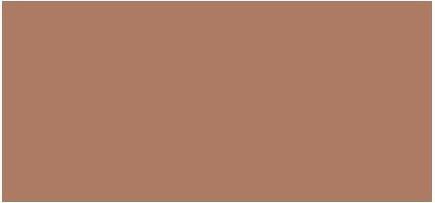 Kylie Jenner Kylie Cosmetics Bronzing Powder - 10 G (300 Toasty, Bronzer, 10 g)