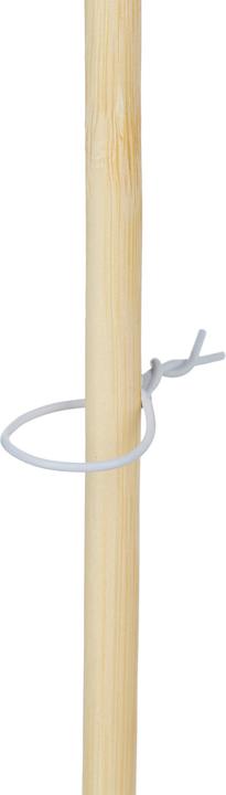 Actual product image Relaxdays 50x plant stick (60 cm, 60 cm)