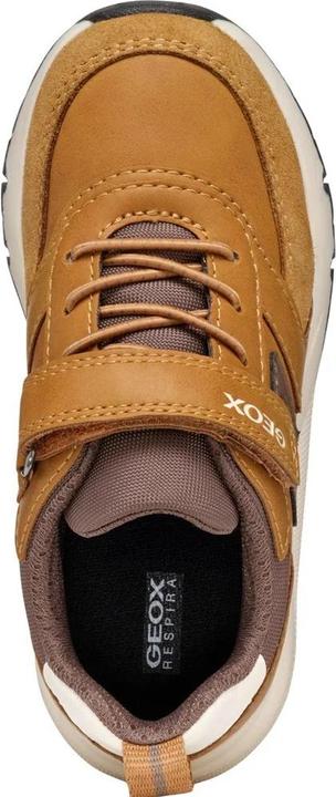 Produktbild Geox Jungen Sneaker Rooner (30.5)