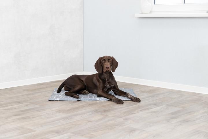 Image du produit Trixie Soft (Chien)