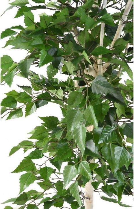 Produktbild Greendeco Künstlicher Birkenbaum, ca. 180cm (180 cm)