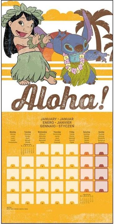 Image du produit Lilo & Stitch 2025 30X30 Calendrier broché (30 x 30 cm, Allemand)