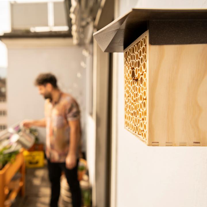 Produktbild Wildbiene BeeHome One (Wildbienen)