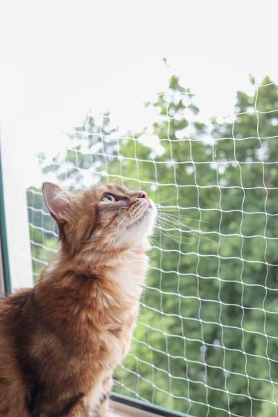 Produktbild Kerbl Katzenschutznetz