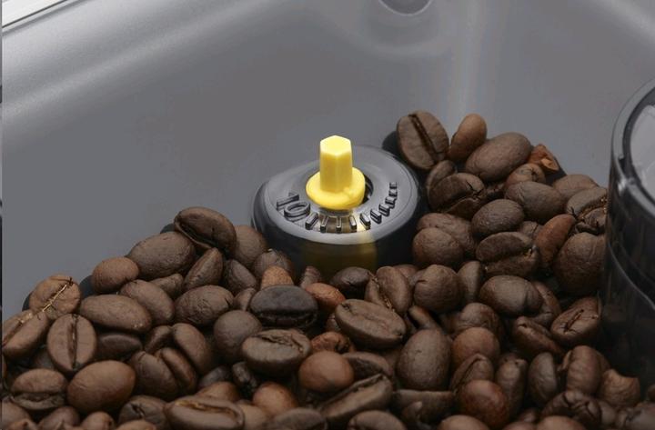 Actual product image Gaggia RI9600/01 - CADORNA STYLE (sch)