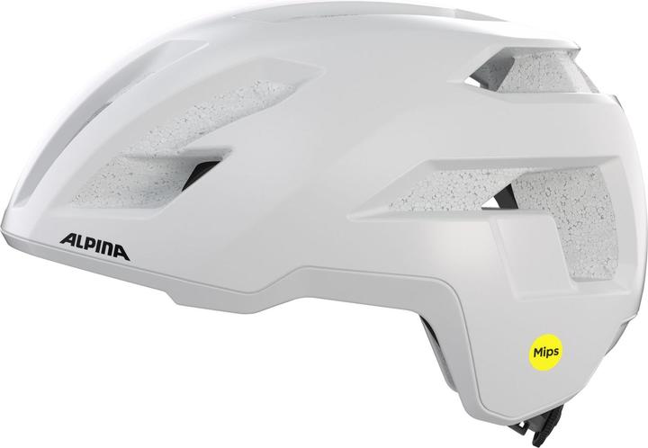 Image du produit ALPINA SPORTS Taunus Gravel Mips (55 - 59 cm)