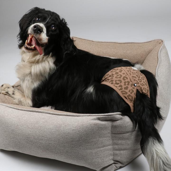 Actual product image EBI Dog nappy (S, Dog boots)
