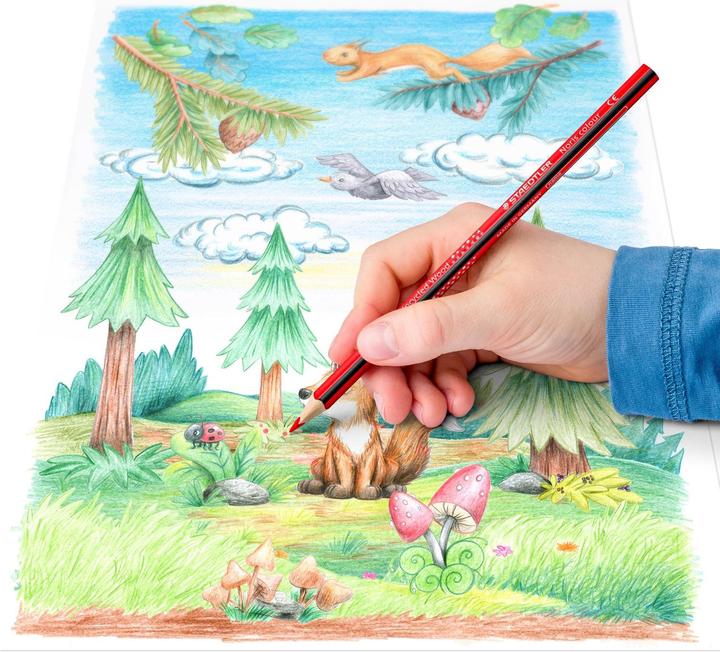 Actual product image Staedtler Coloured pencil (Orange, Green, Brown, Black, Dark Blue, Red, Yellow, Dark Green, Blue, 12 x)