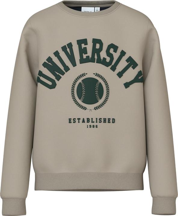 Name it Regular Fit Sweatshirt (116)