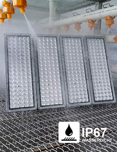 Image du produit Rugging Projecteurs à LED, projecteurs (4000 lm, IP67)