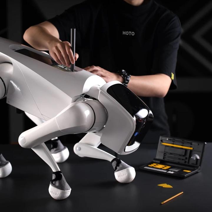 Actual product image Hoto QWLSD012
