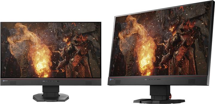 Image du produit Eizo Fs2434 (1920 x 1080 pixels, 23.80")