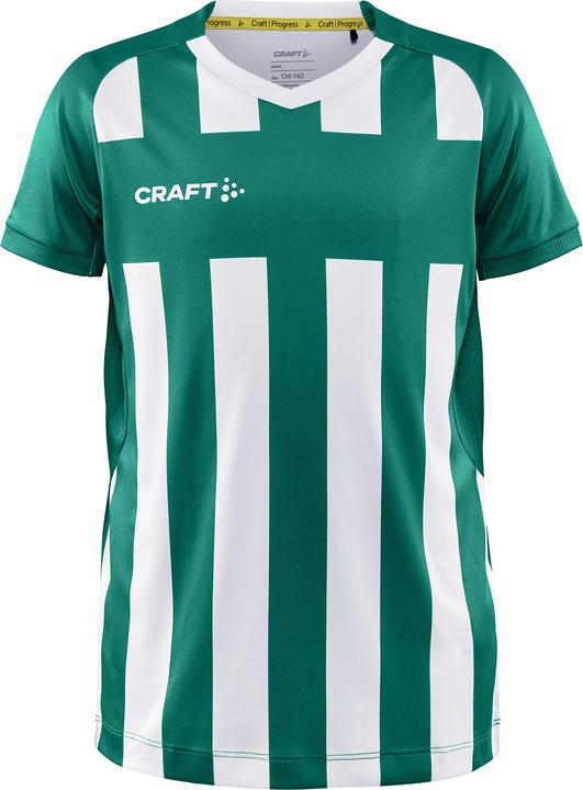 Craft Progress 2.0 Stripe Jersey JR