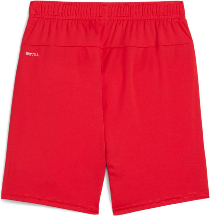 Actual product image Puma teamGOAL Shorts Jr (XL)