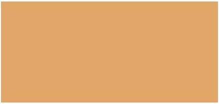 Laura Mercier Tinted Moisturizer ( Oil Free Natura l Skin Perfector) 50 ml - Shade: 4N1 Wheat (4N1 Wheat)