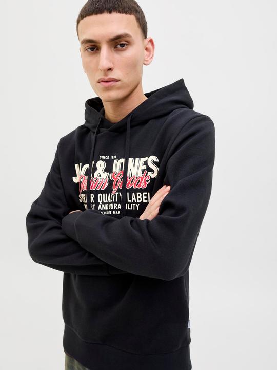 Actual product image Jack & Jones JJELOGO SWEAT HOOD 2 COL 25/26 NOOS (M)