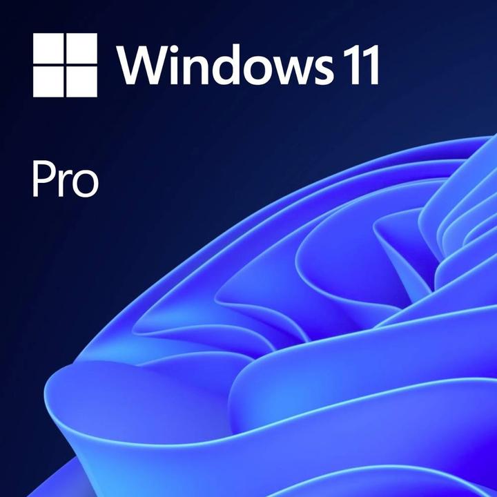 Produktbild Microsoft Windows 11 Pro 64bit, NL-Version (1 User, unbegrenzt)