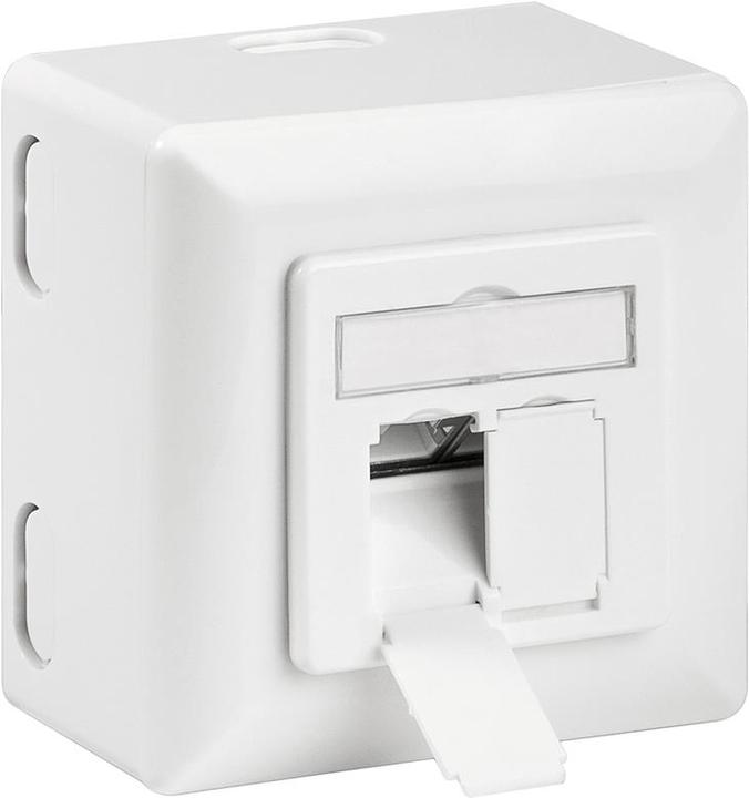 Produktbild Goobay CAT 6a Universaldose inkl. Aufputzmontage-Rahmen