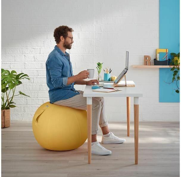 Produktbild Leitz Ergo Cosy Active Sitzball (65 cm)