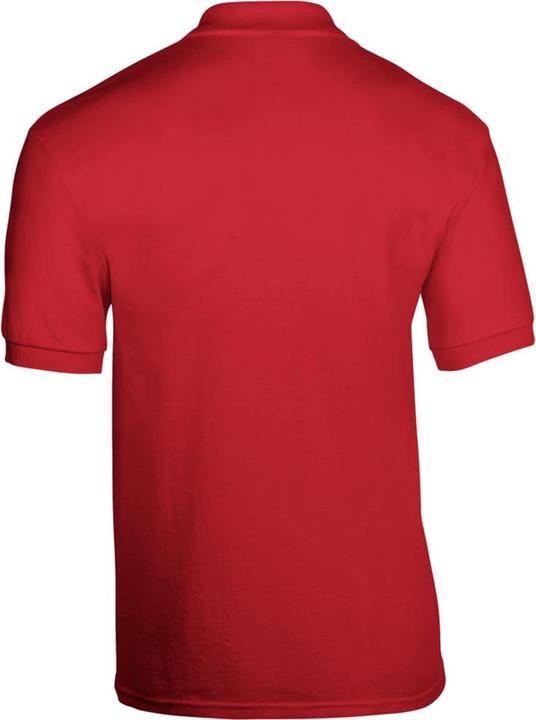 Actual product image Gildan DryBlend PoloShirt short sleeve (L)