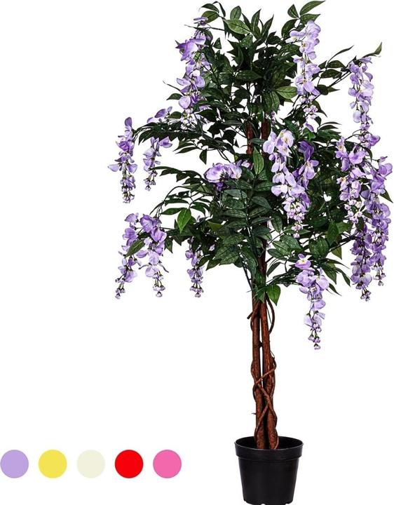 Image du produit Plantasia Wisteria Baum (120 cm)