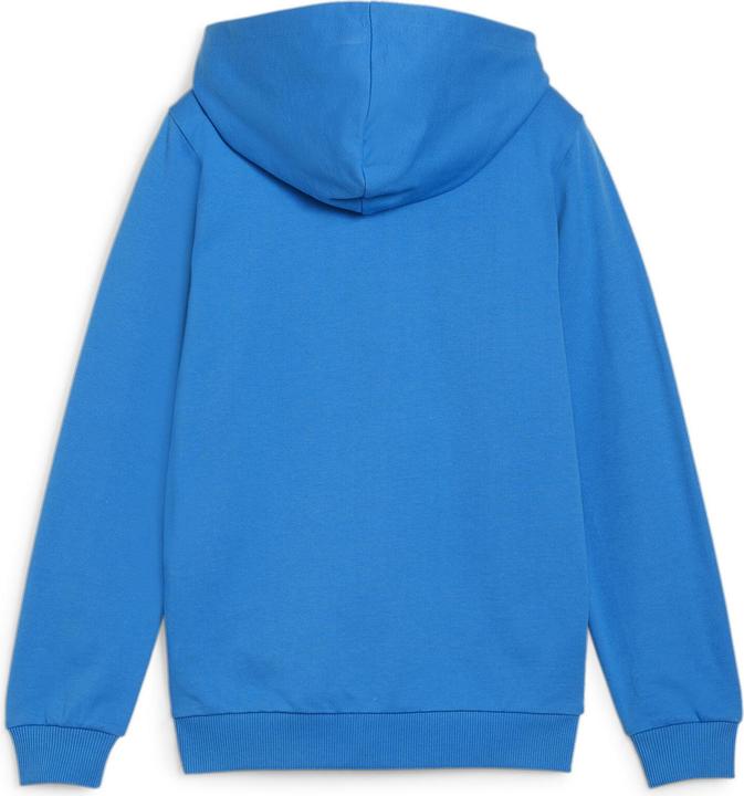 Productafbeelding Puma teamGOAL Casuals Hooded Jacket Jr (116)