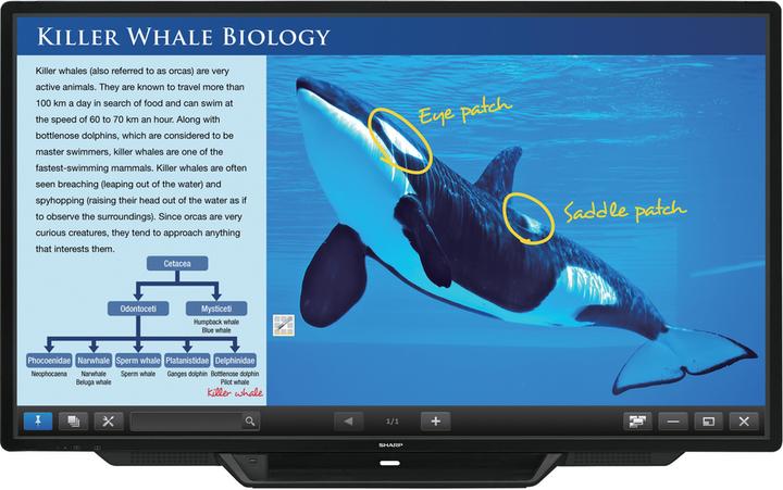 Produktbild Sharp BIG PAD PN-80TC3 - 203.2 cm (80") Diagonalklasse LED-Display - interaktiv - mit (1920 x 1080 Pixel, 80")