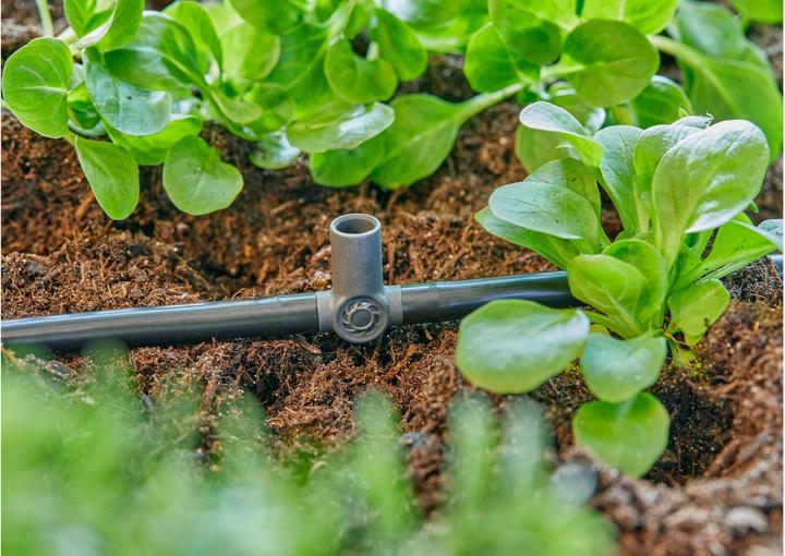 Produktbild Gardena Micro-Drip-System T-Stück (Tropfbewässerung Verbinder + Abzweiger)