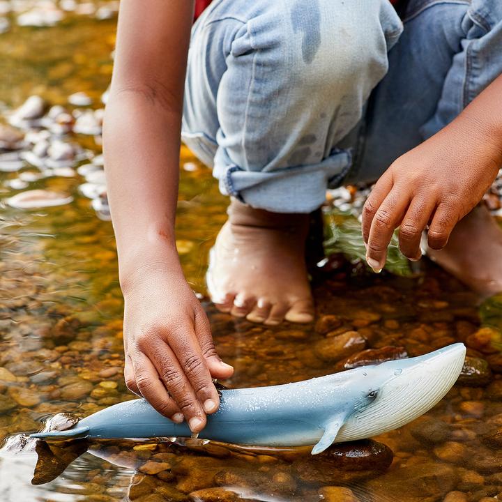 Produktbild Schleich Schleich-Blauwal