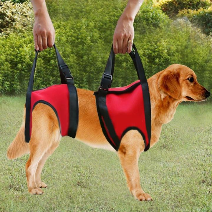 Produktbild Filfeel Gehhilfe für Hund (S, Hund)