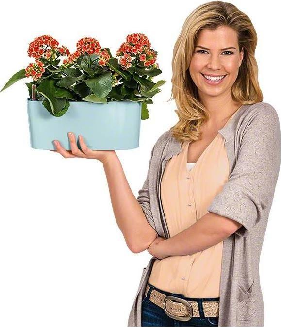 Actual product image Lechuza Delta 10 (11 cm)