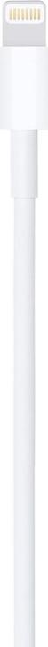 Produktbild Apple Lightning to USB Cable (1m) (1 m, USB 2.0)