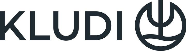 Image du produit Kludi L-Steel robinet cuisine à levier unique avec bec pivotante et extensible