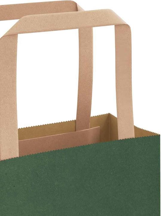 Actual product image VidaXL Kraft paper bags 250 pcs. with handle green 21x11x36 cm paper bag (Gift bag, 250 x)