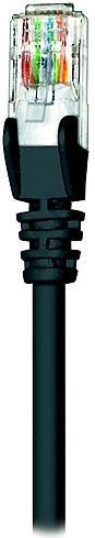 Actual product image Intellinet Patch cable (U/UTP, CAT6, 1.50 m)