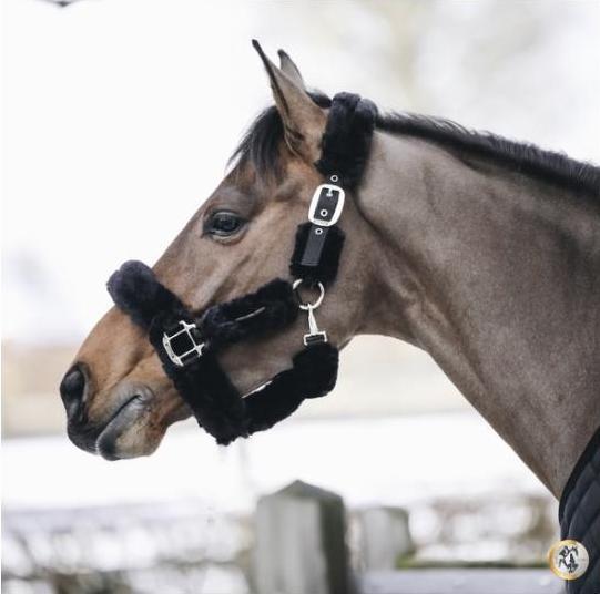 Produktbild Kentucky Horsewear Halfter Lammfell