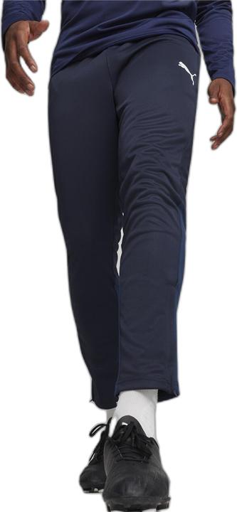 Actual product image Puma teamGOAL Training Pant (L)