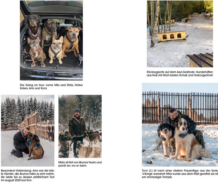 Produktbild Der Hundebeschützer