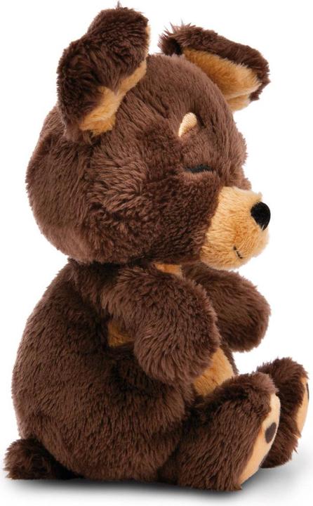 Actual product image NICI Sleeping Pets cuddly toy brown dog in green basket GREEN (11 cm)