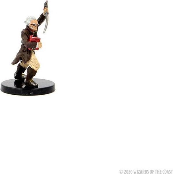 Immagine prodotto Wizkids D&D Icons of the Realms: miniature di Curse of Strahd Legends of Barovia Premium Box Set