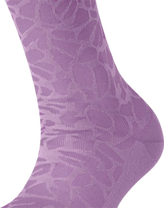 Image du produit Falke Creole SO (41 - 42)