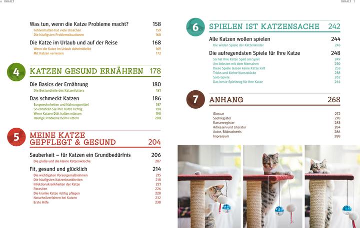 Produktbild Katzen (Deutsch, Gerd Ludwig, 2013)