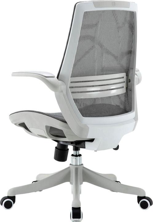 Image du produit Sihoo Chaise de bureau avec soutien lombaire
