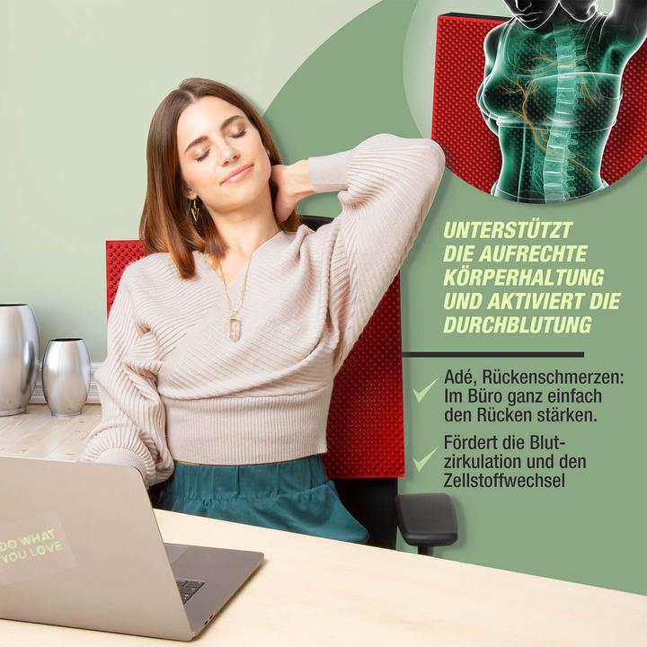 Image du produit Sportstech BPX100