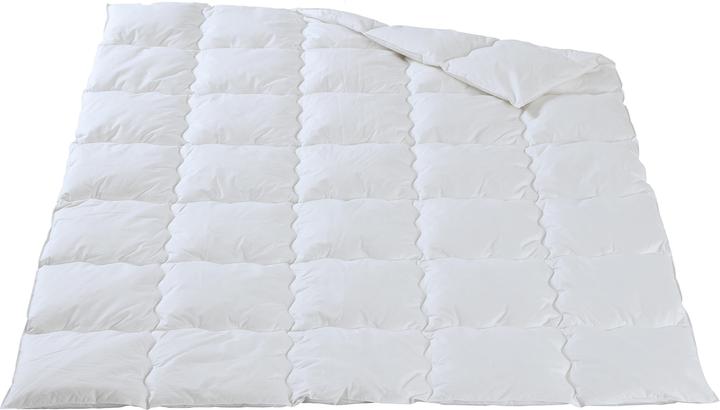 Swiss Ganzjahres-Duvet