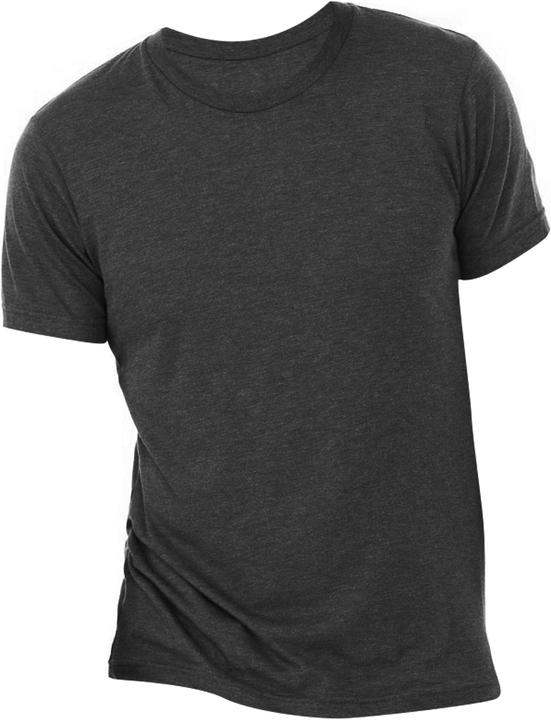 Actual product image Bella Canvas Canvas triblend T-shirt with round neckline (L)